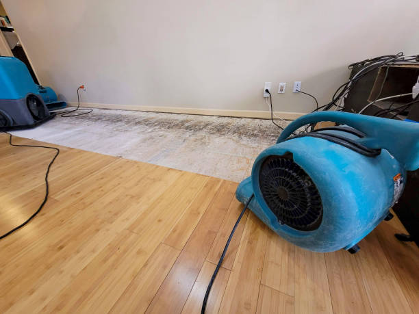 Professional Structural Drying technician working in Forest Hills, MI